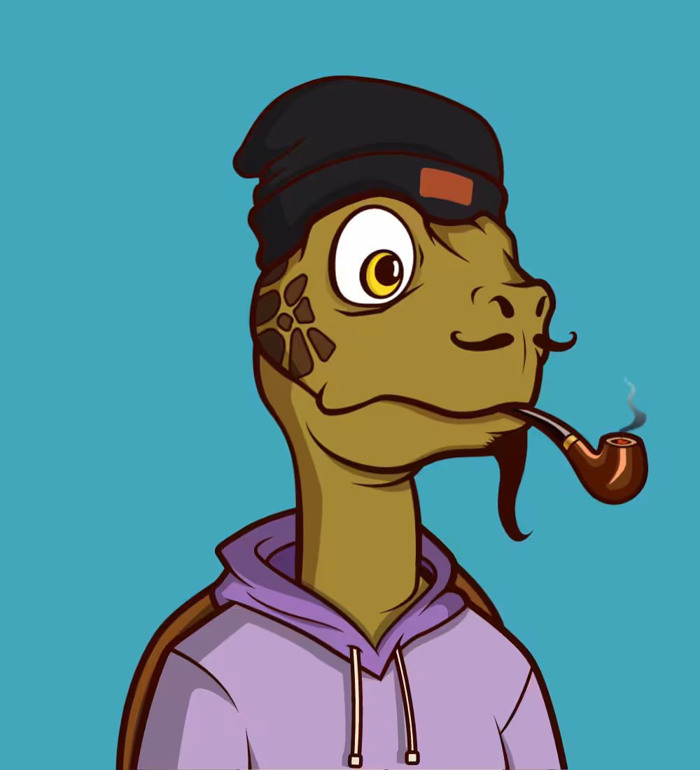 Tiny Turtle 24