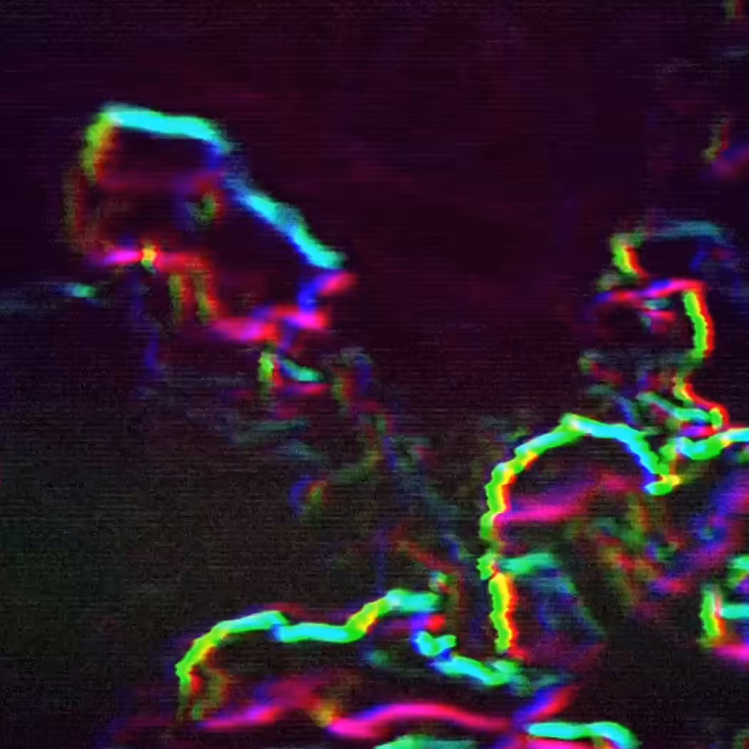 A Time Lapse Video of the Inside of the Cortex of a Rainbow