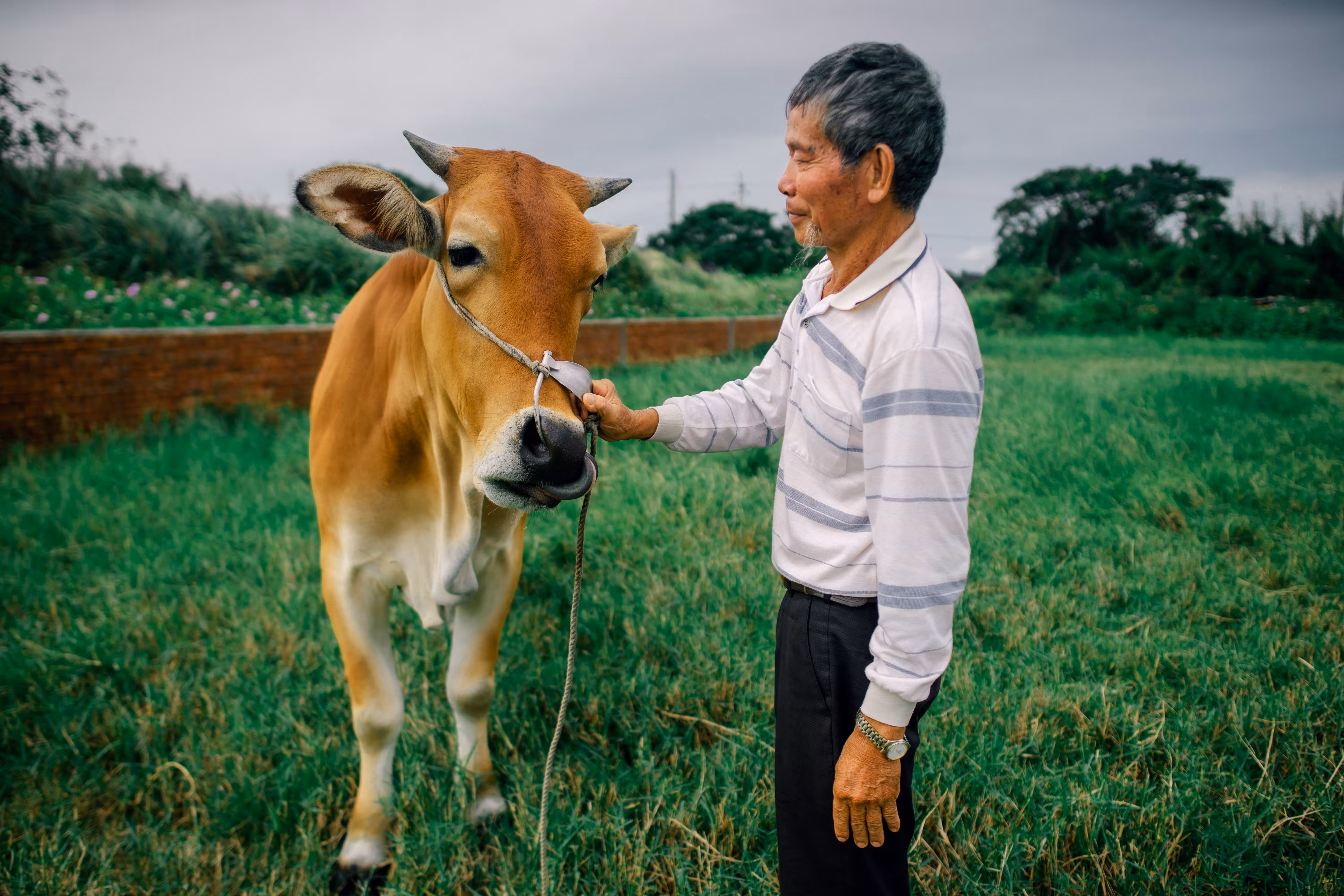 Farmer and Farmer's best friend