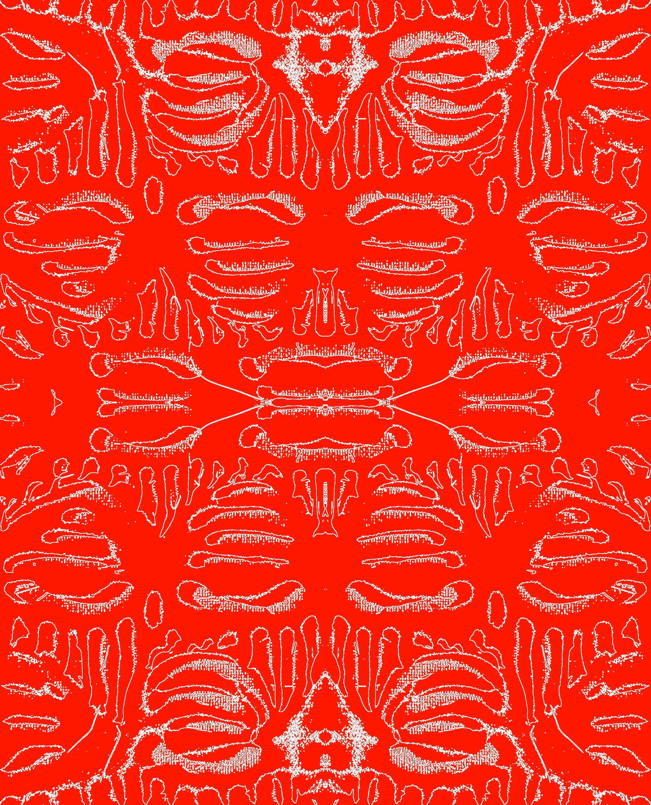 RED / WHITE 06