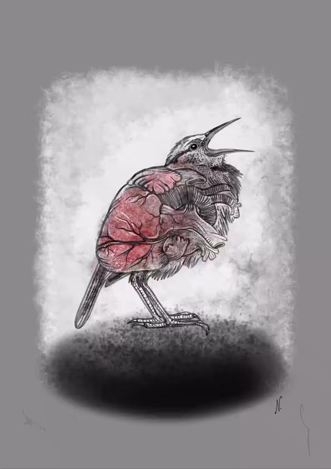 A living bird