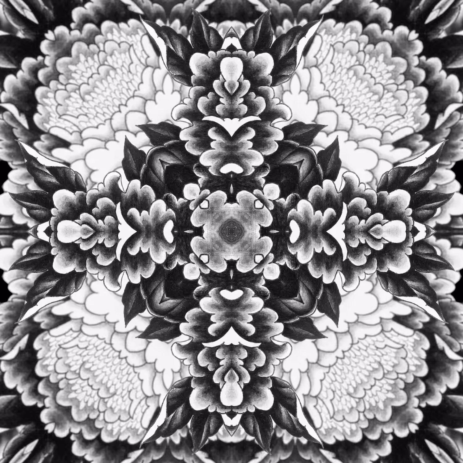 Peony 1 (1 of 4)