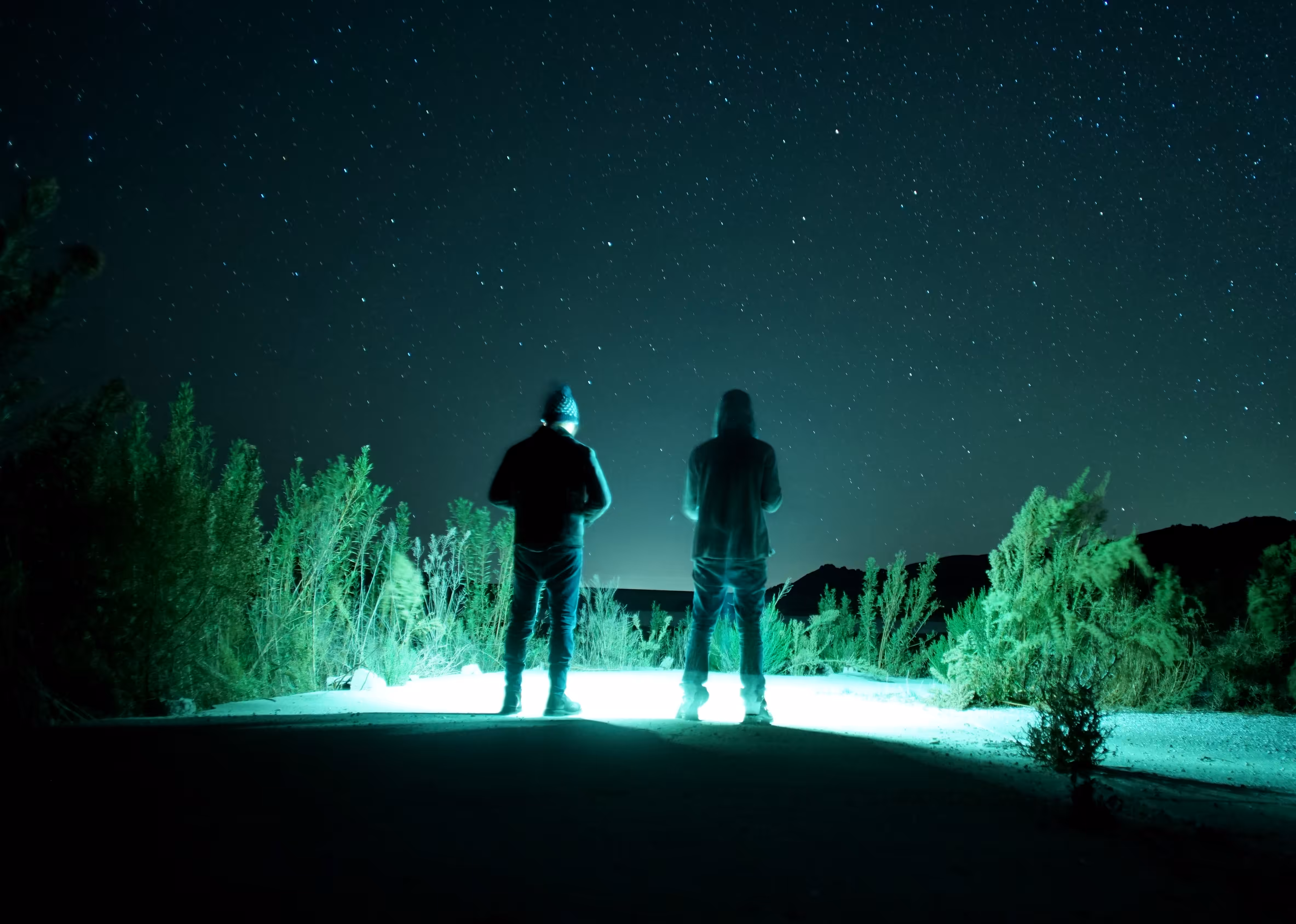 Friends on a Night Journey