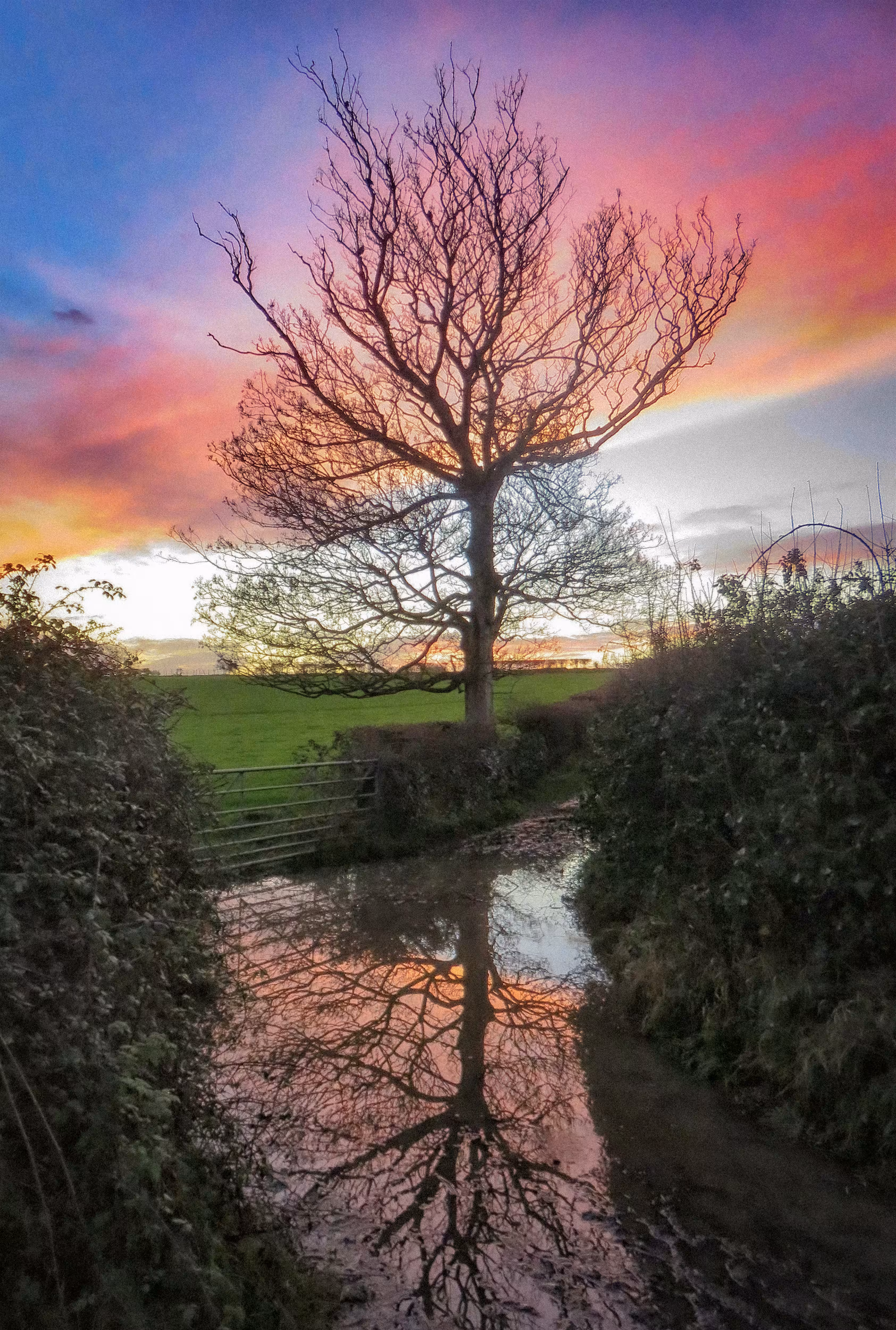 After The Rains