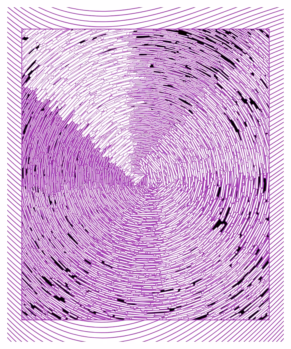 Daily experiments 08.02.2024 #6