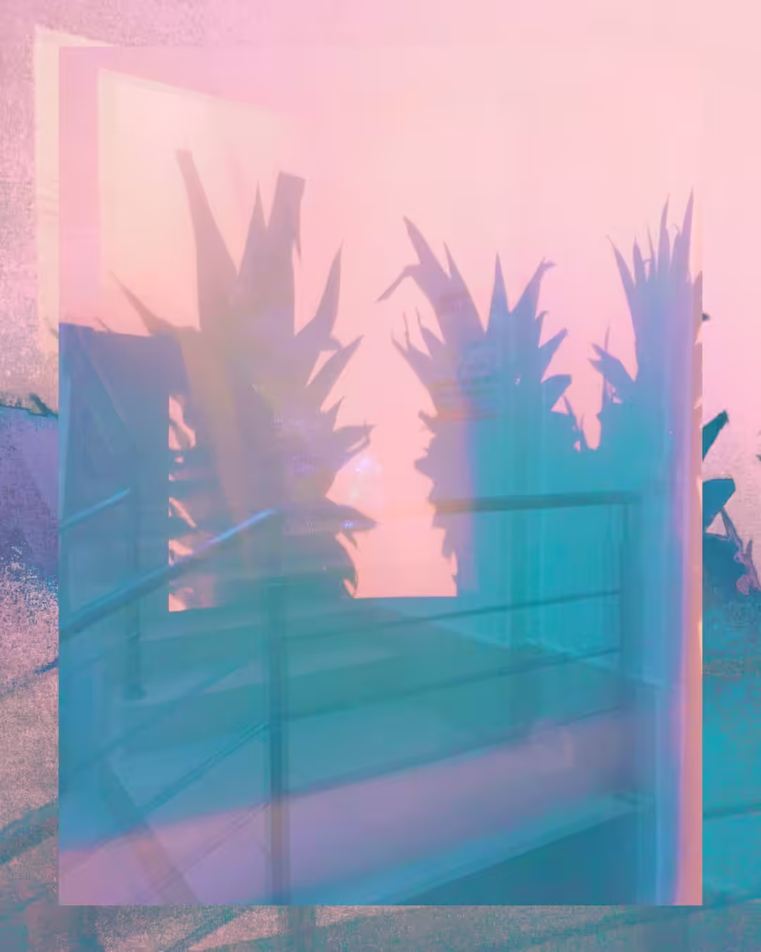Pineapple shadow behind glass.