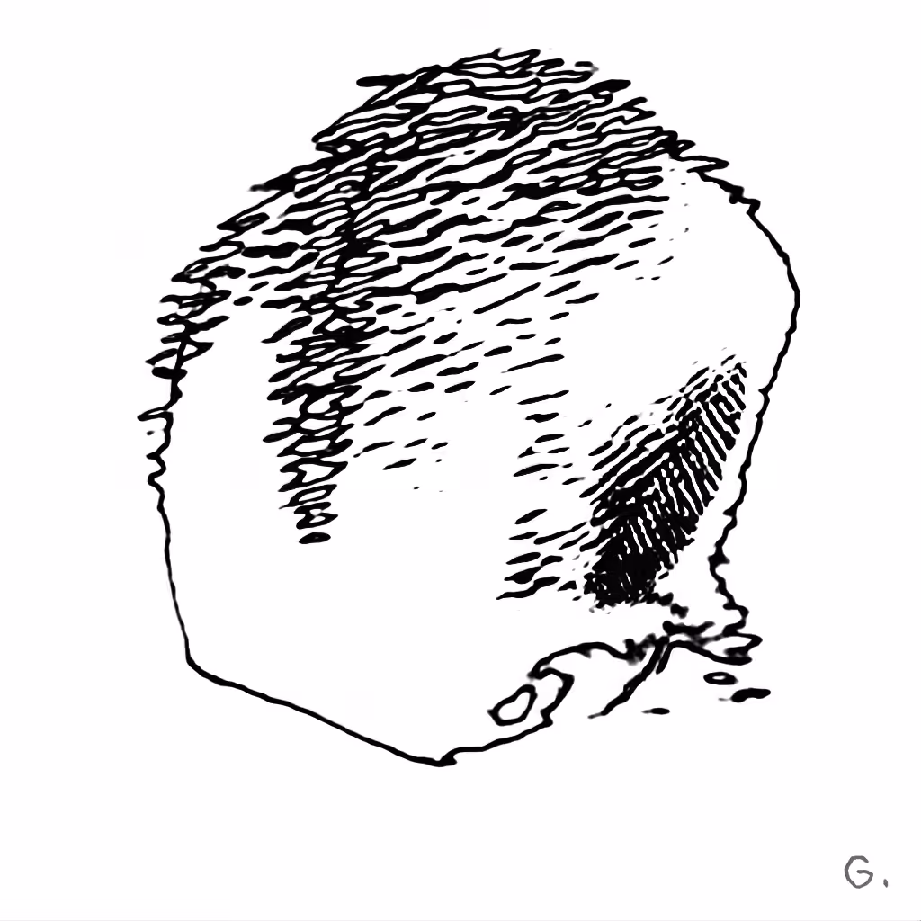 J48BAFORMS: J48BAFORM #3329