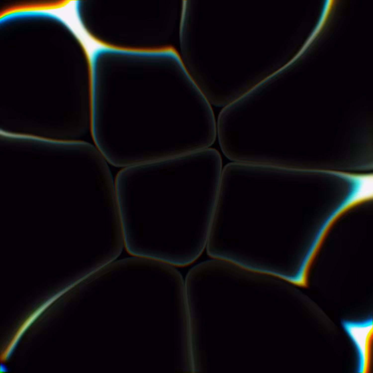 Neuron Loop 2