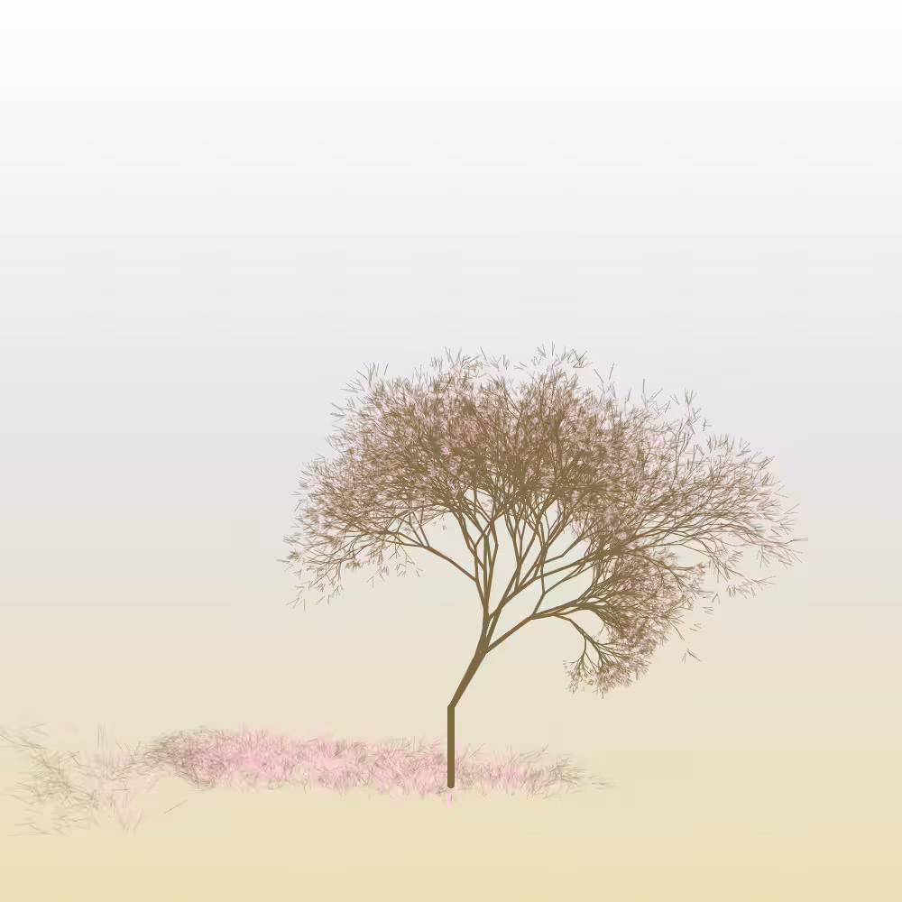 Hanami #21