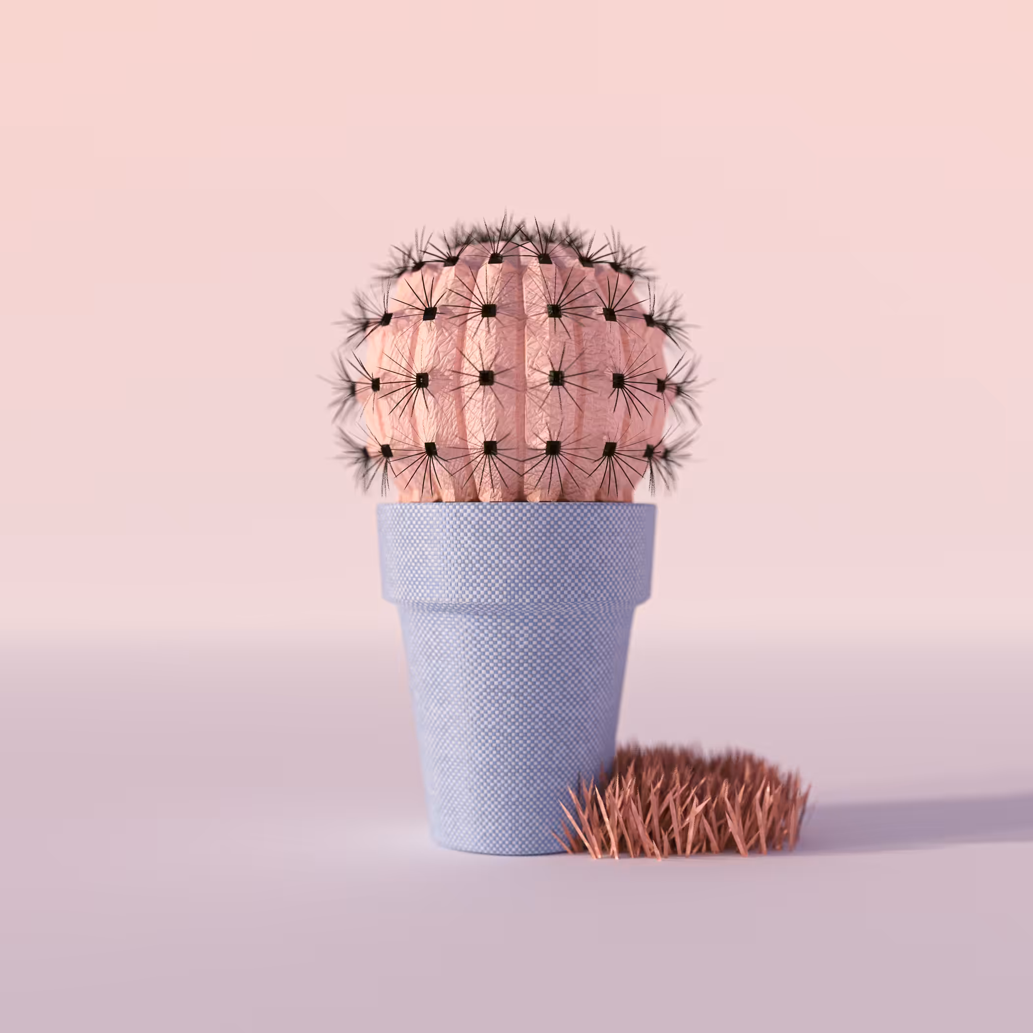 Skin Cactus