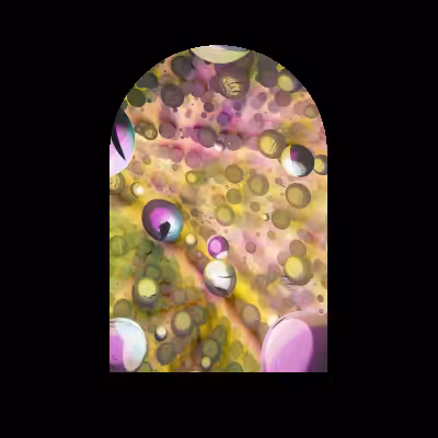 A window to the inside #19
