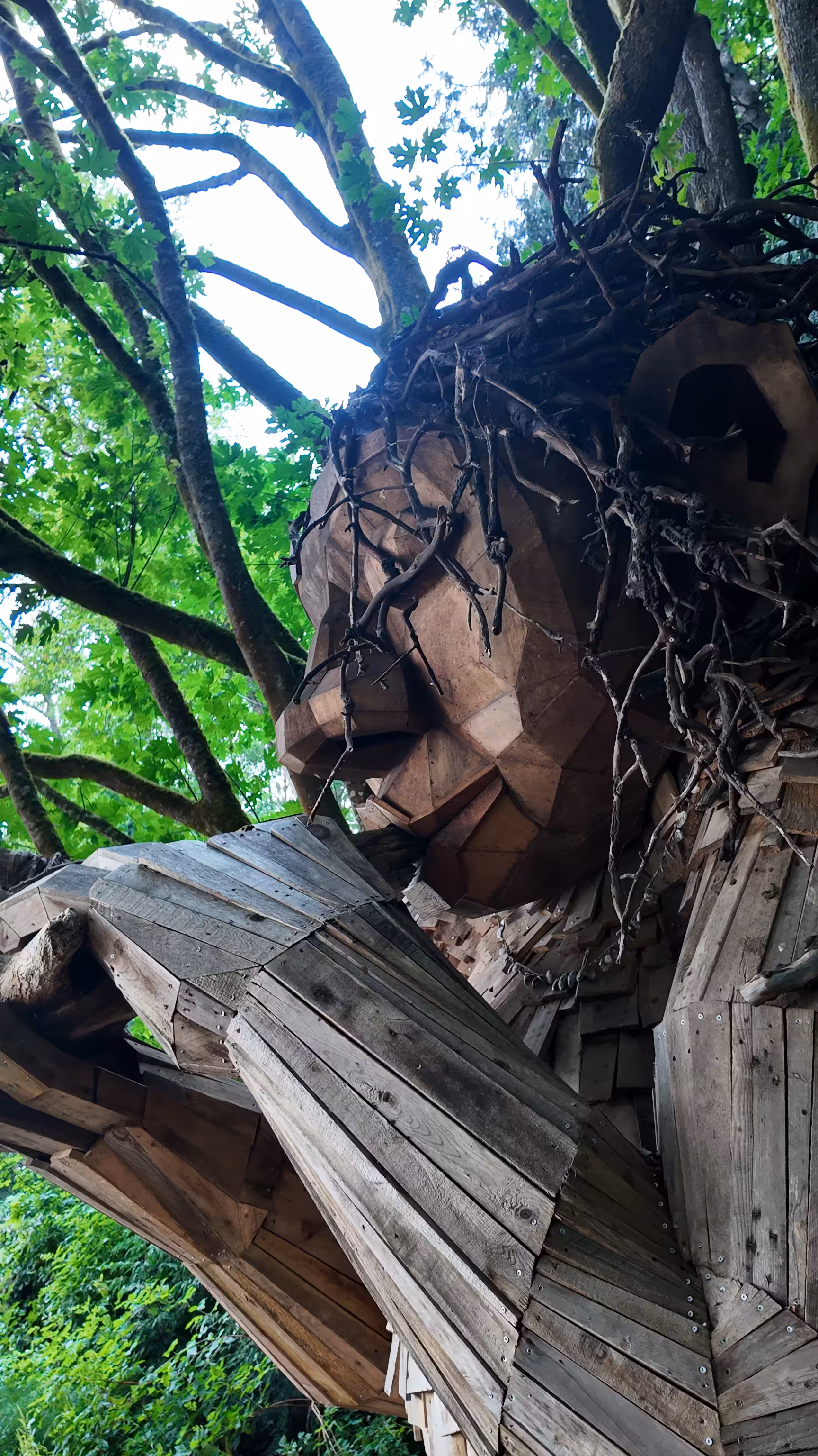 TezCon Memories: Lincoln Park Troll