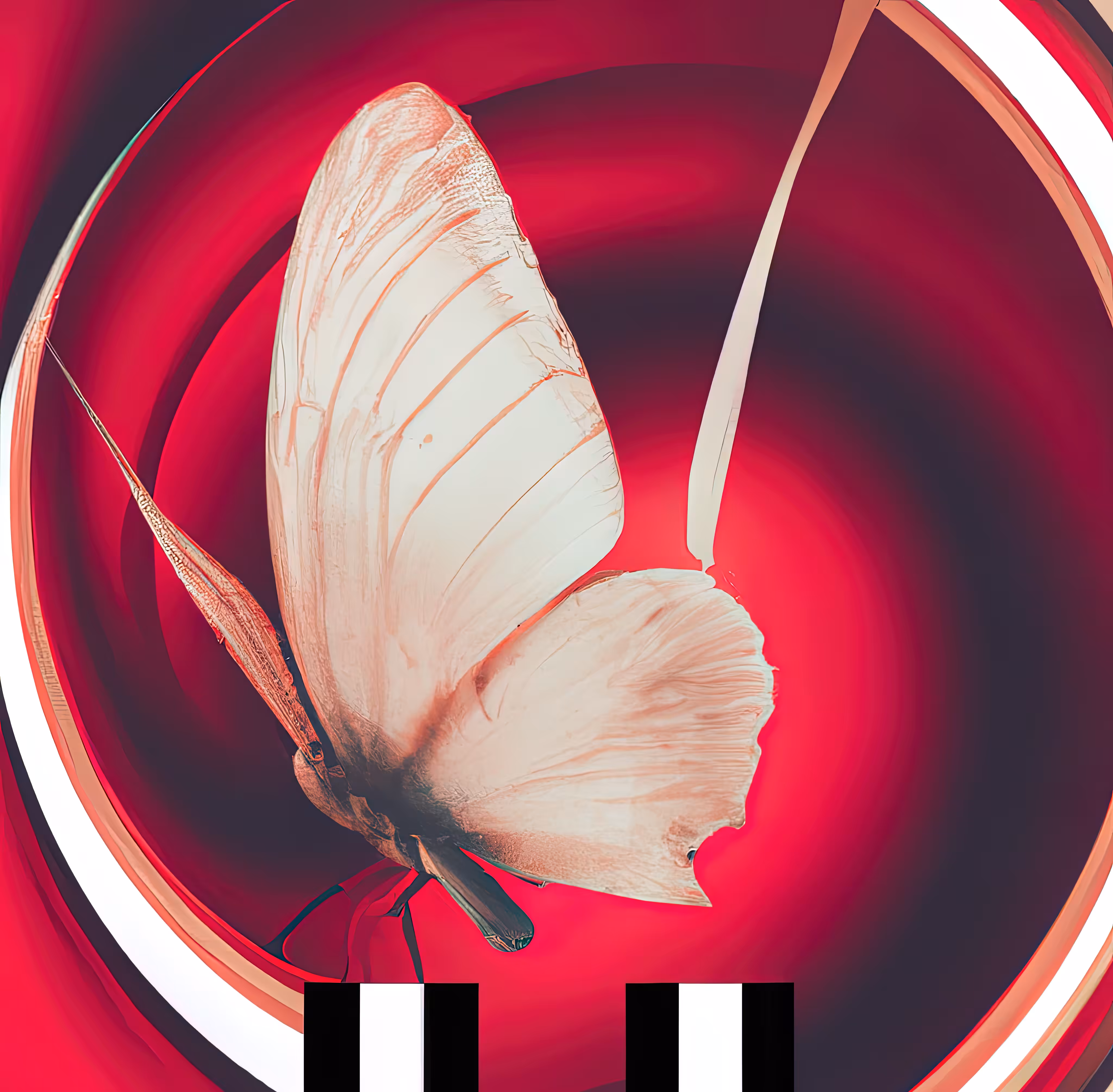 One Day... I'll Fly Away
