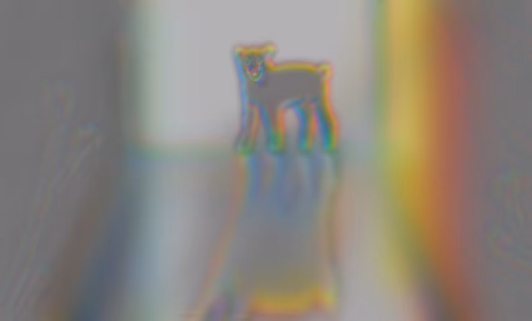 dog….