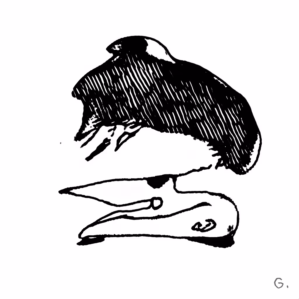 J48BAFORMS: J48BAFORM #3921
