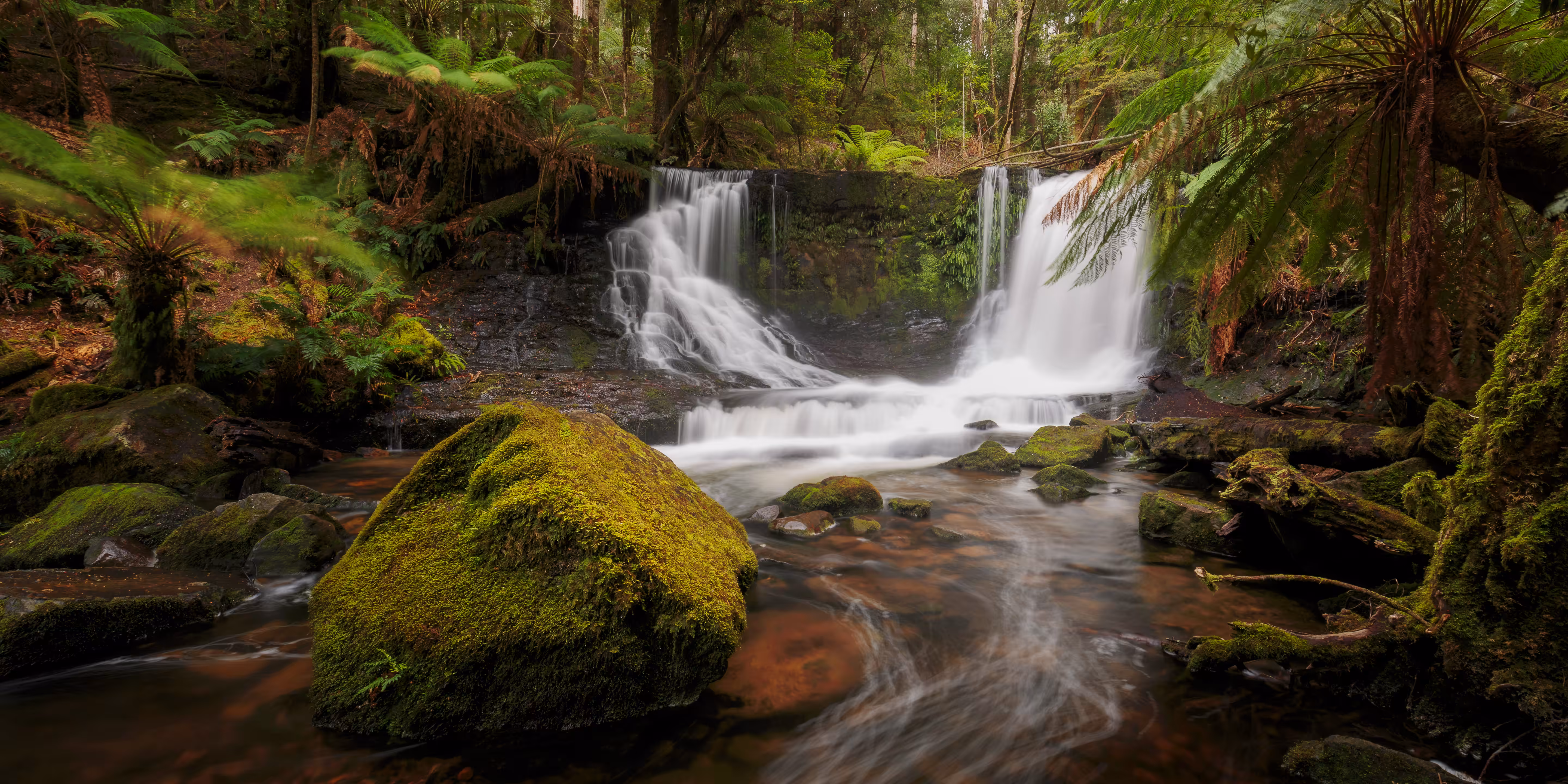 Favourites: Horseshoe Falls