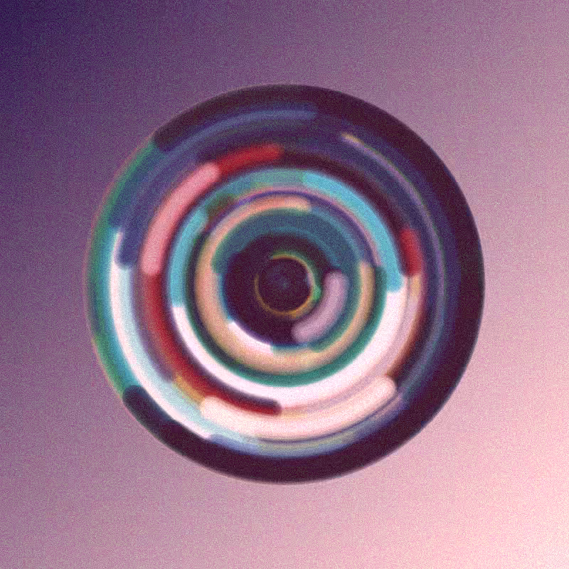 Wisp #784