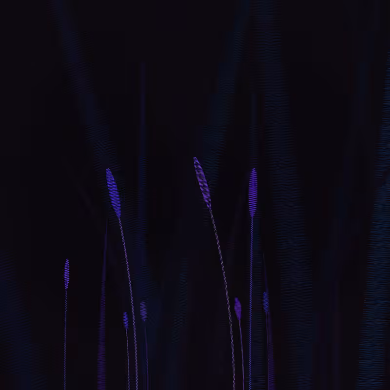 ZigZag Garden #43
