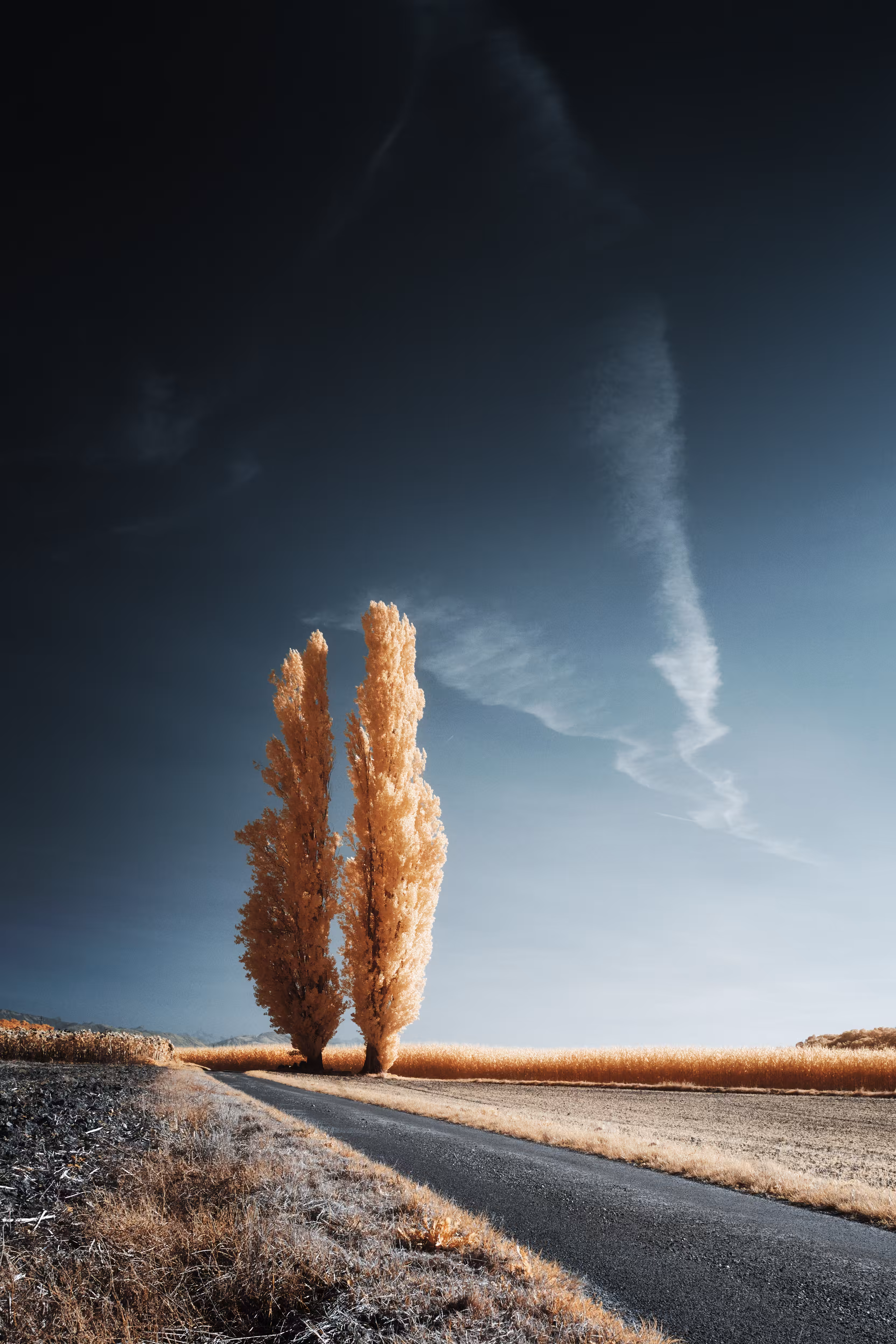 Two Tones