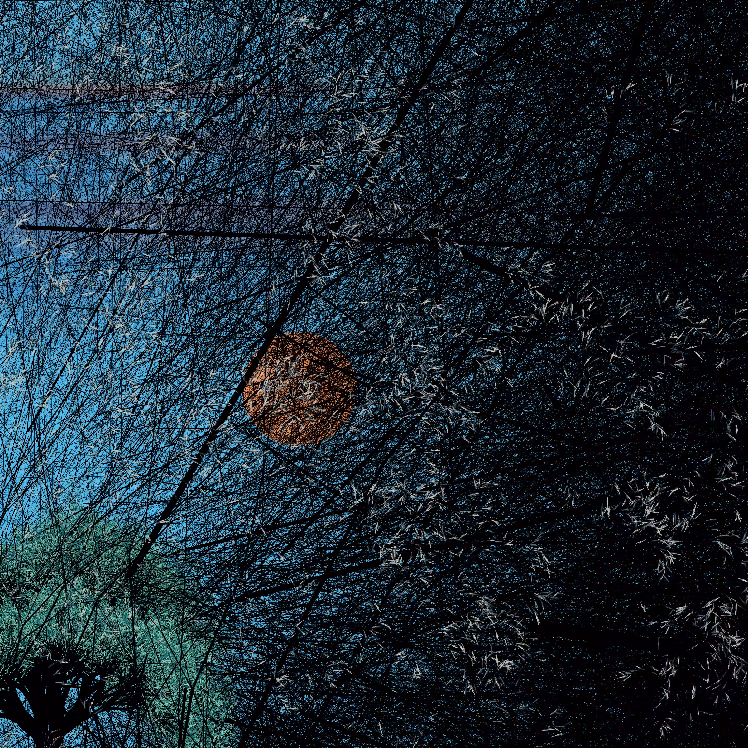 conversation with the wind #585