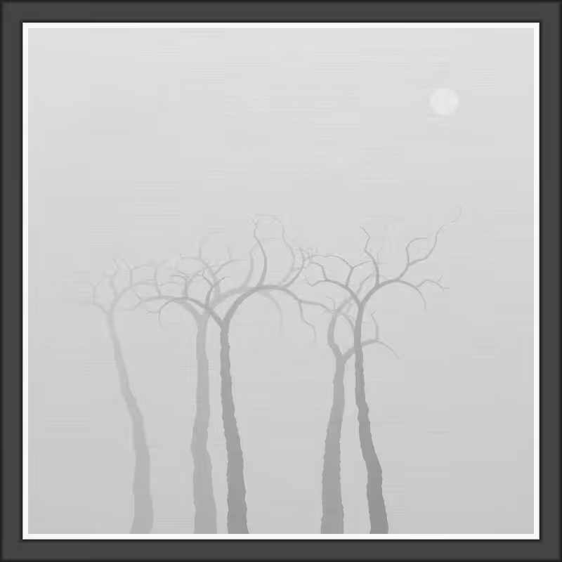 The Foggy Trees #118