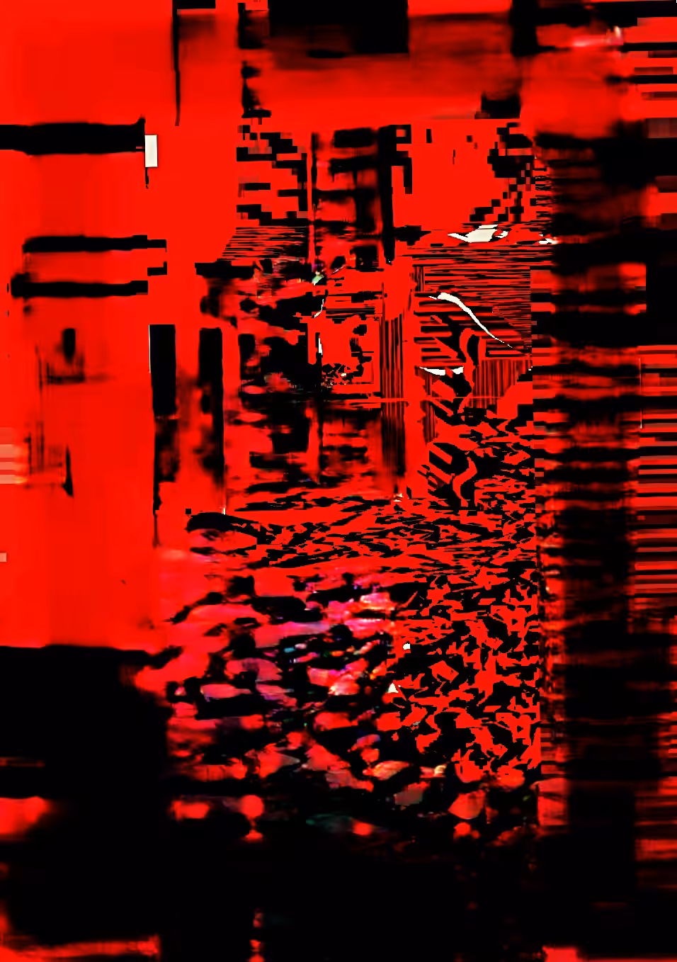 DIGITAL PAINT 2025: ONÇA