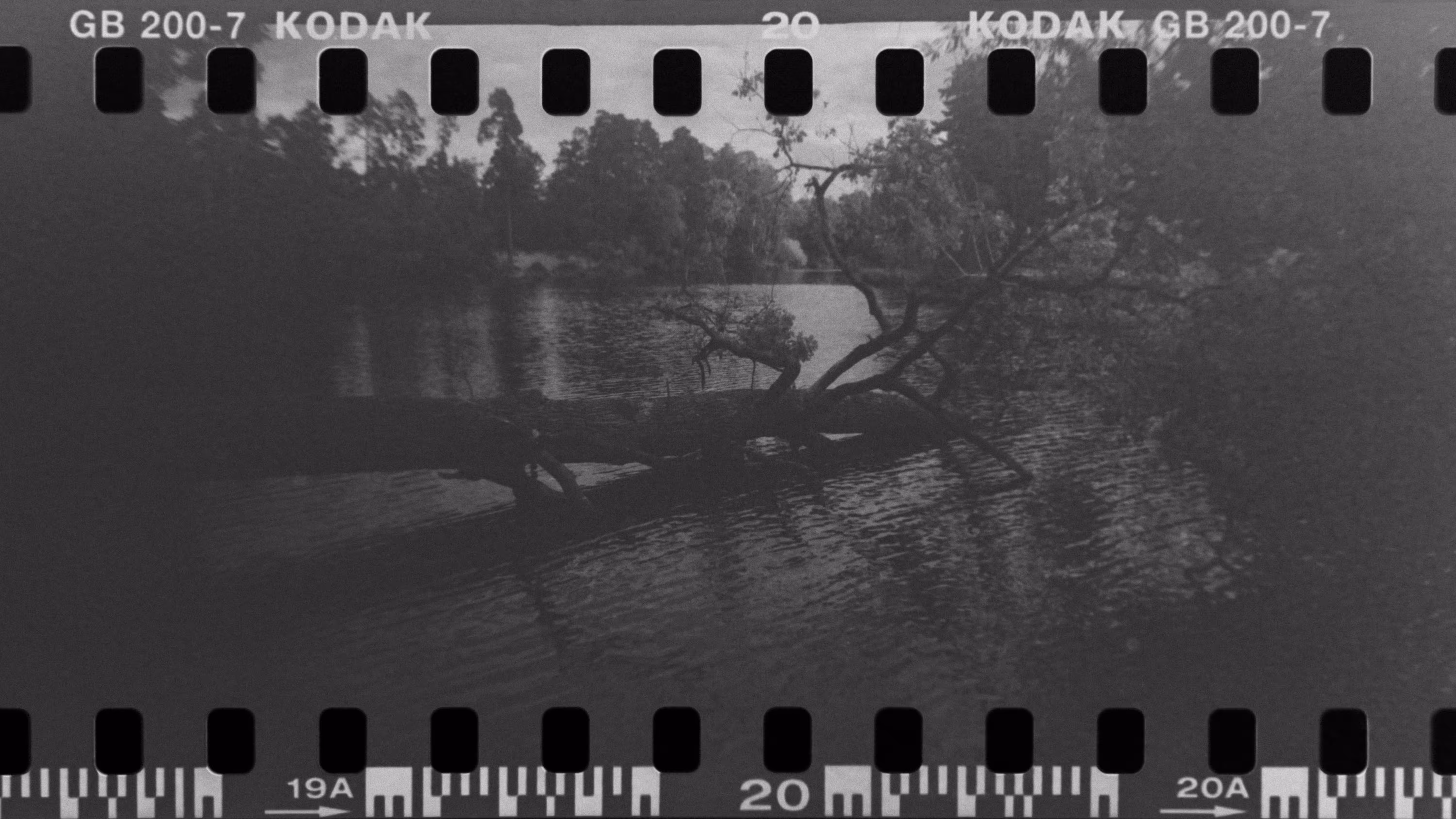  Film Photography Day 2026: bridge 
