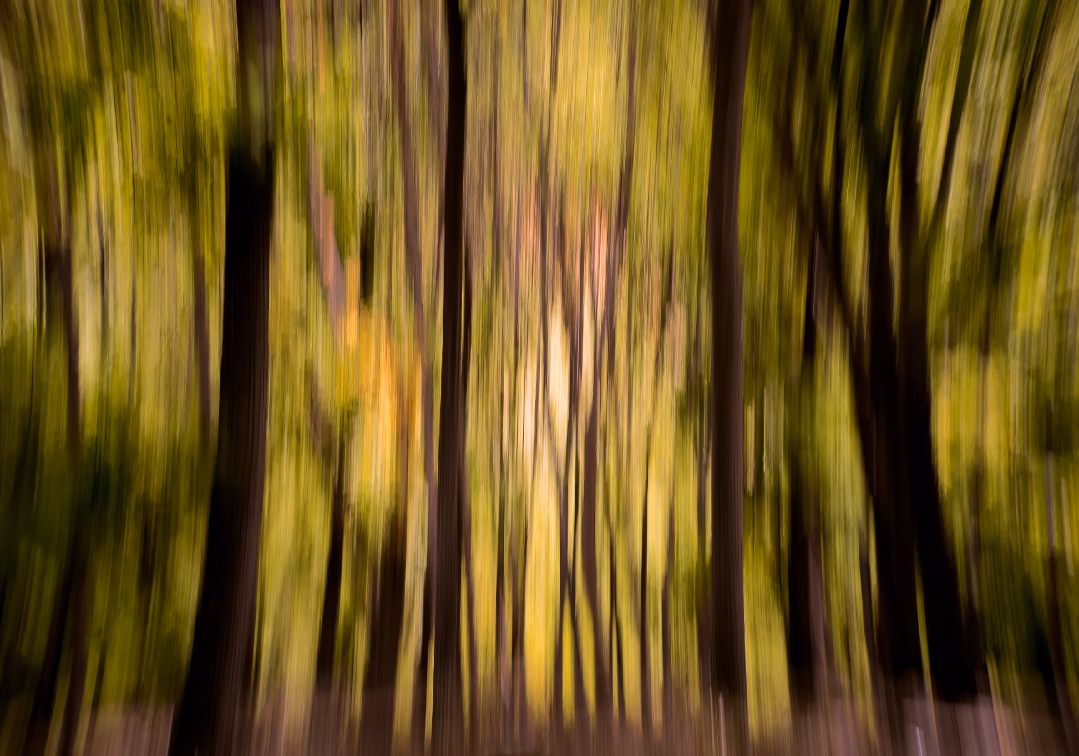 Lost