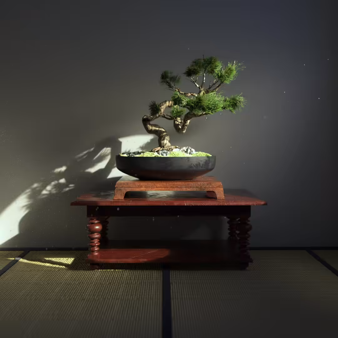 盆栽 Bonsai