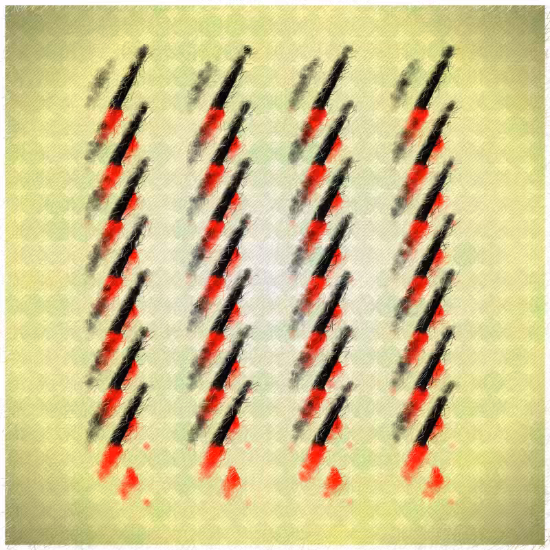 Maculas #21