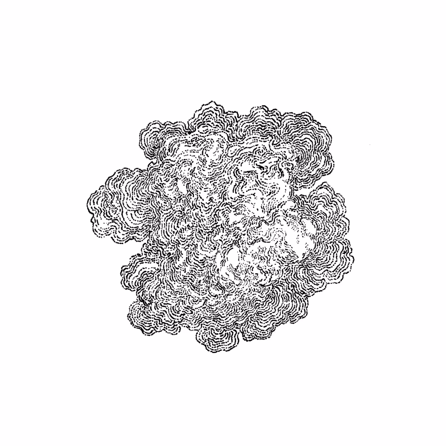 specimen 1