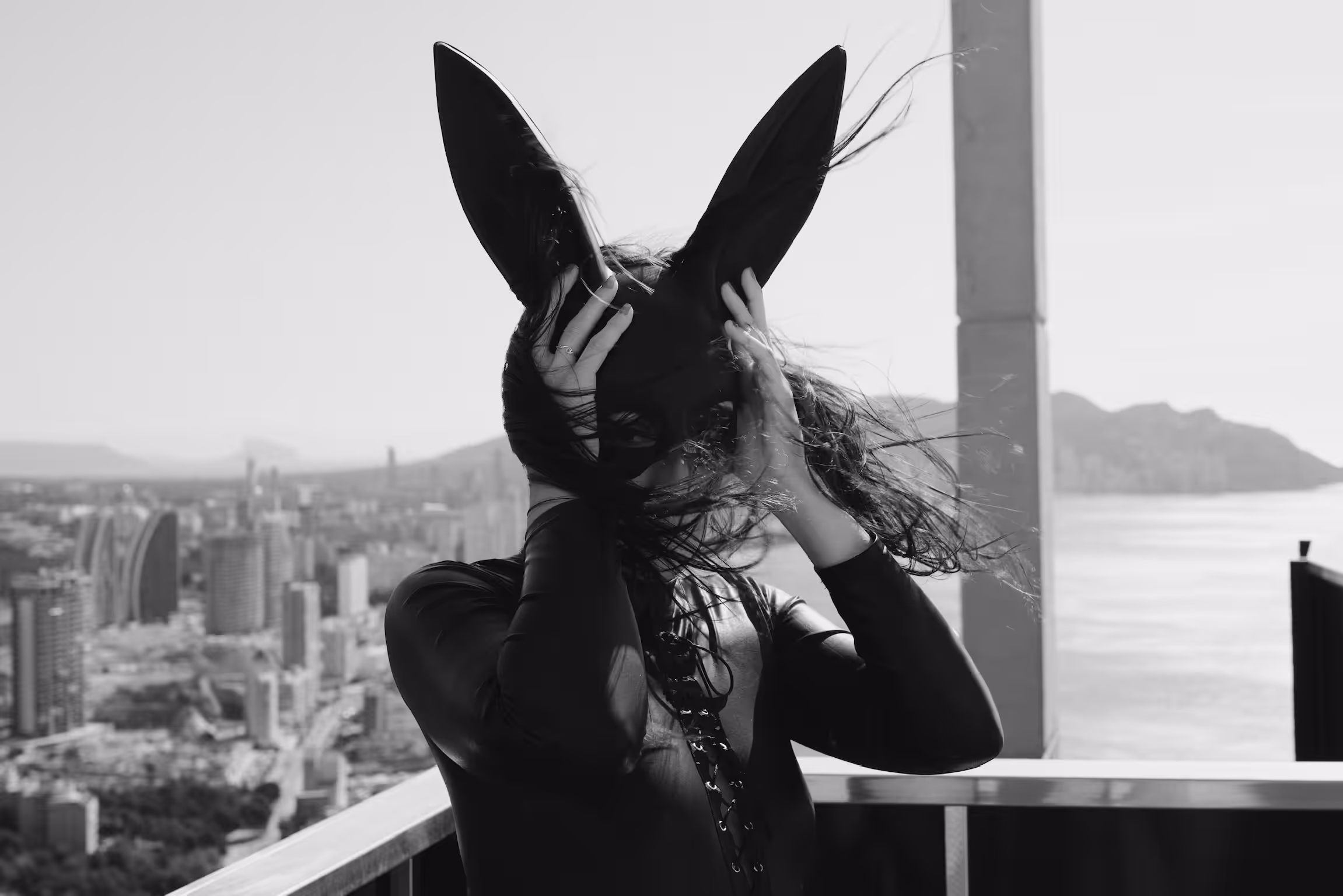 Black Rabbit 01