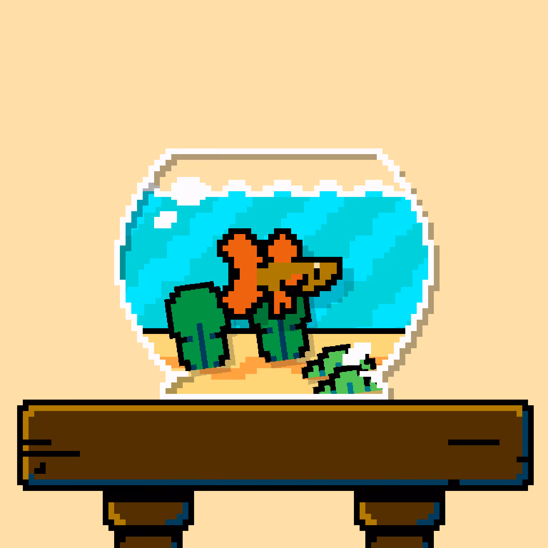 betta fish #526