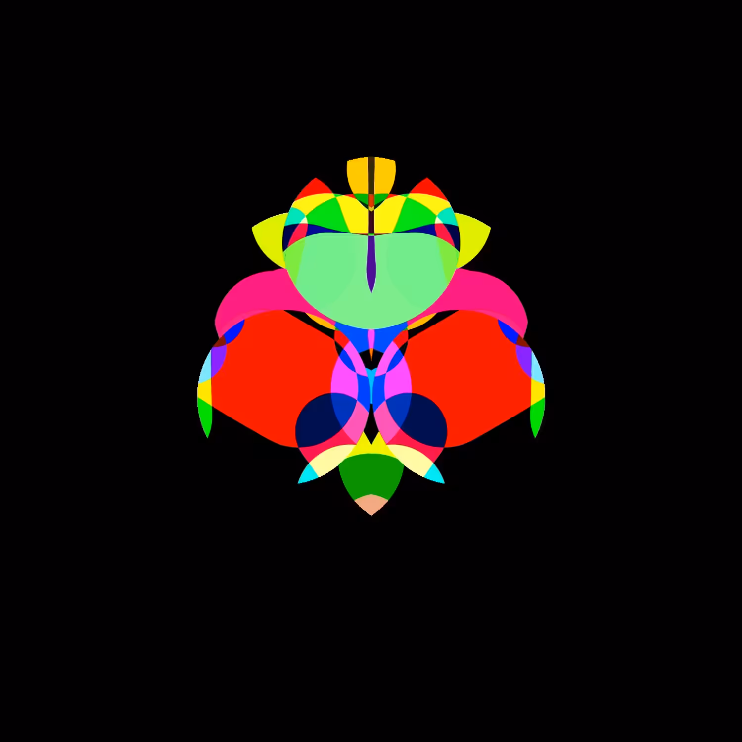 Tulipa Infolia