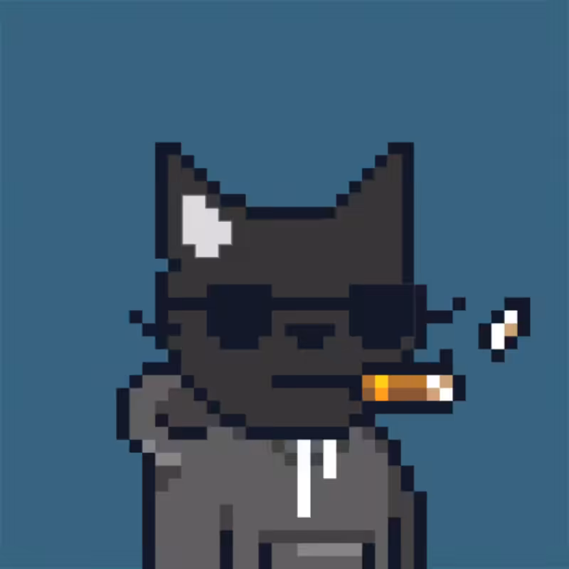 MEOWPIX #13