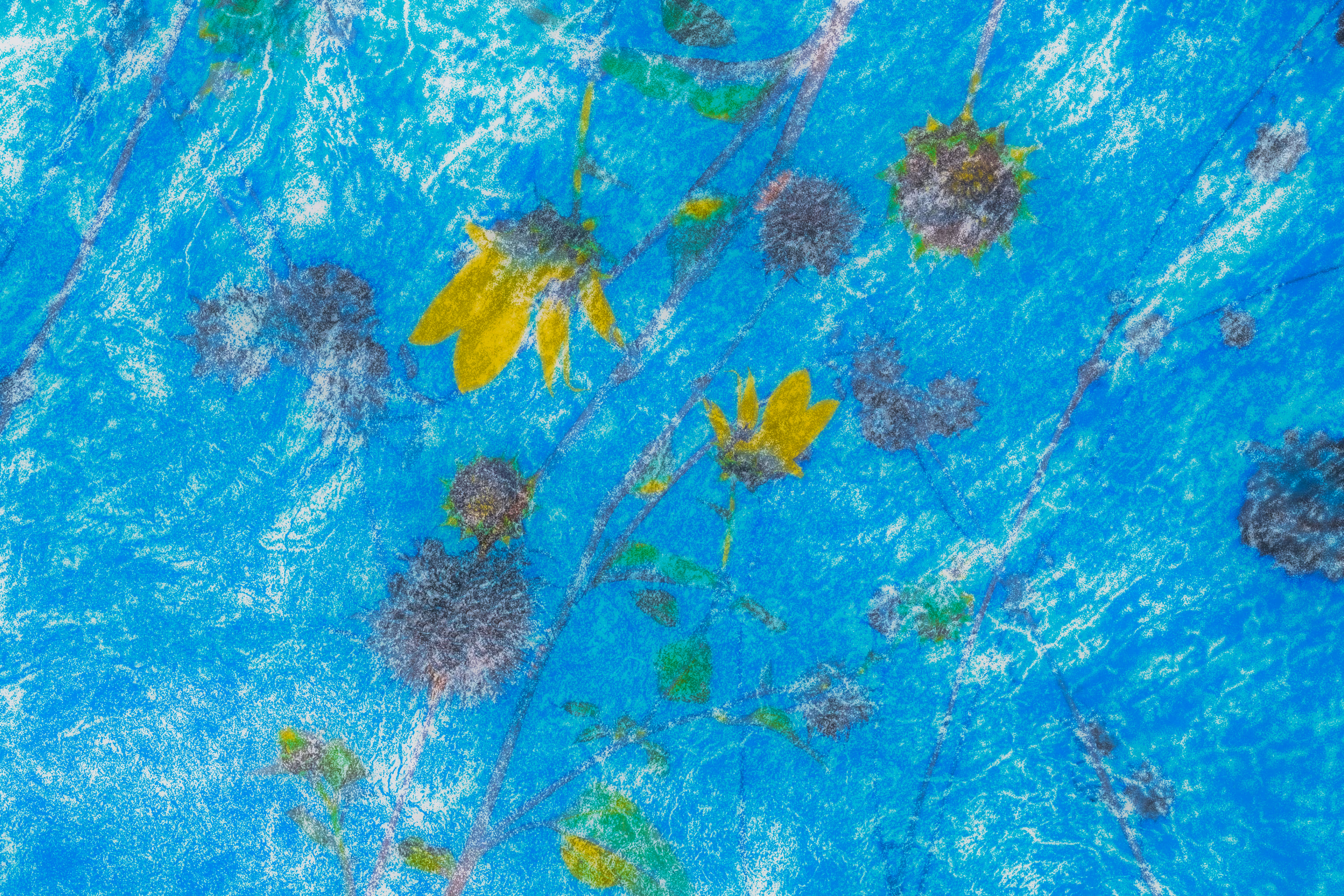 Cerulean Dreams
