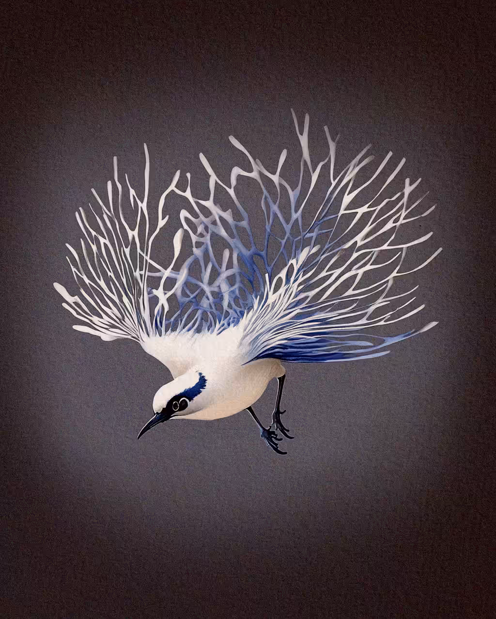 03 - Blue Jay