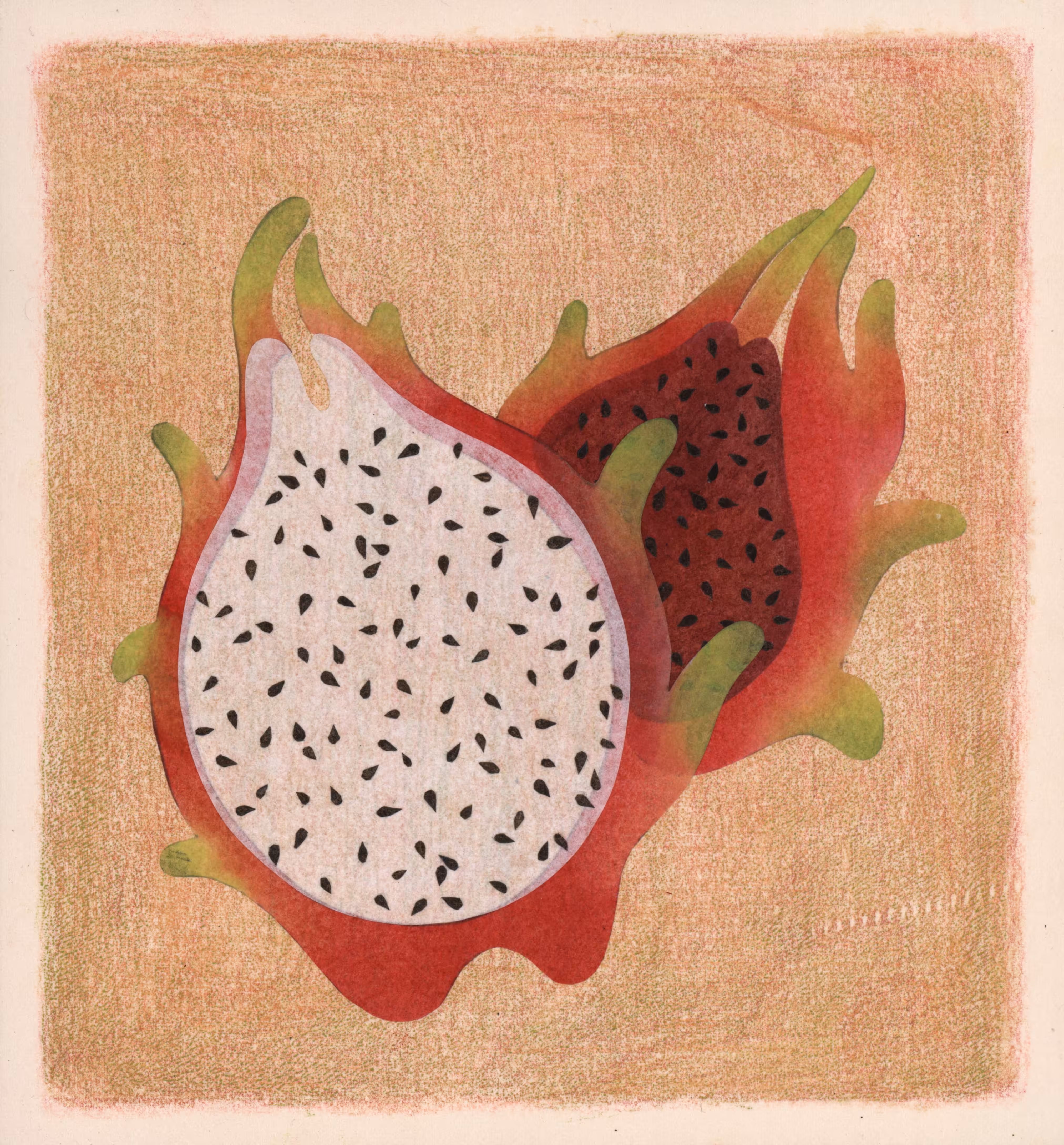 The dragon fruit therapy 1