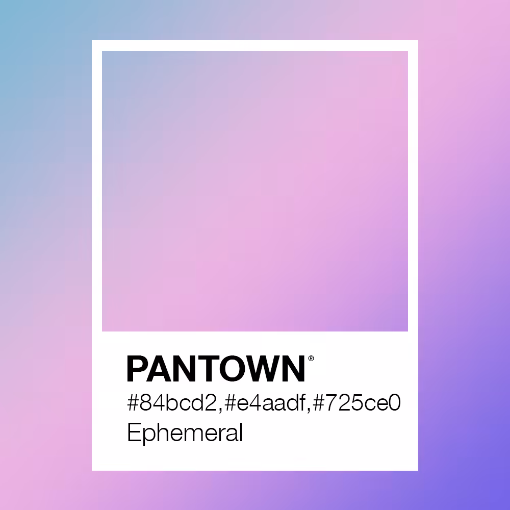 PANTOWN® ~001