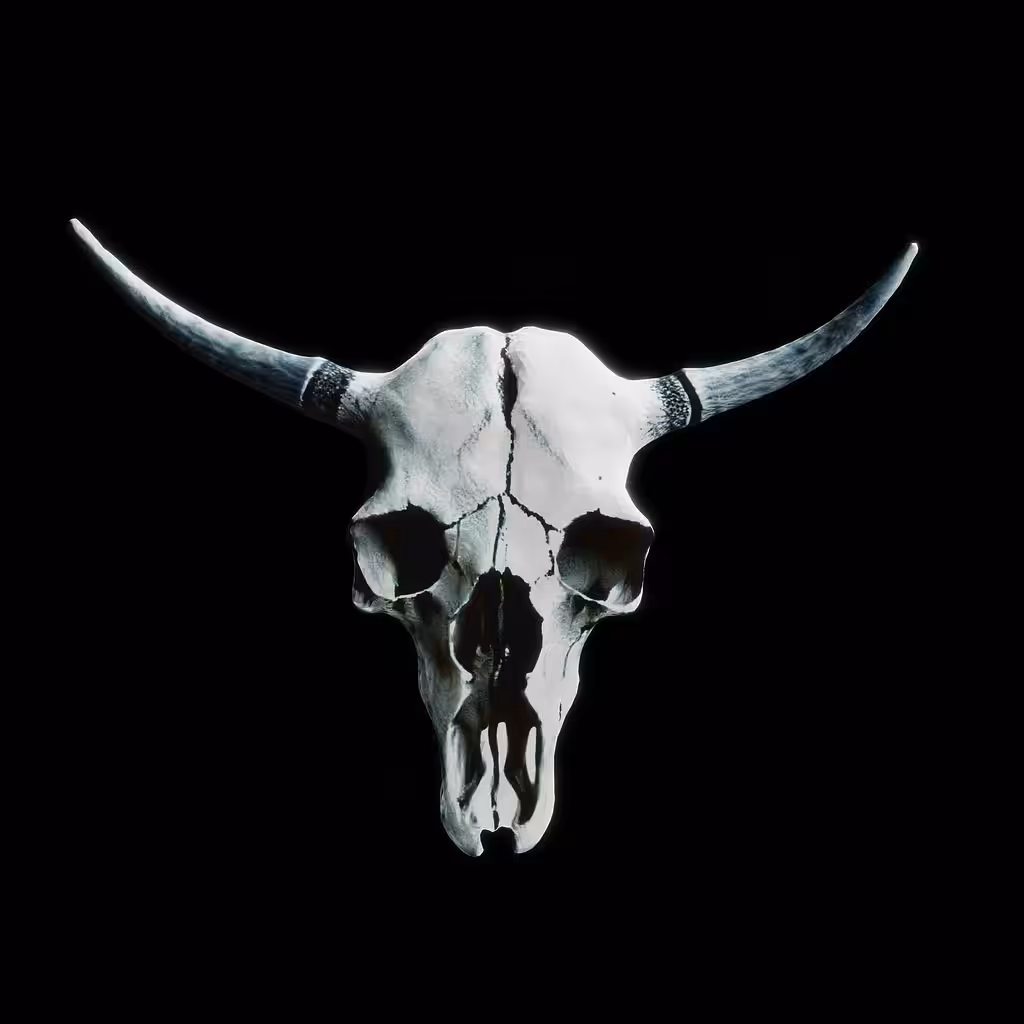 Bullishly Bullheaded