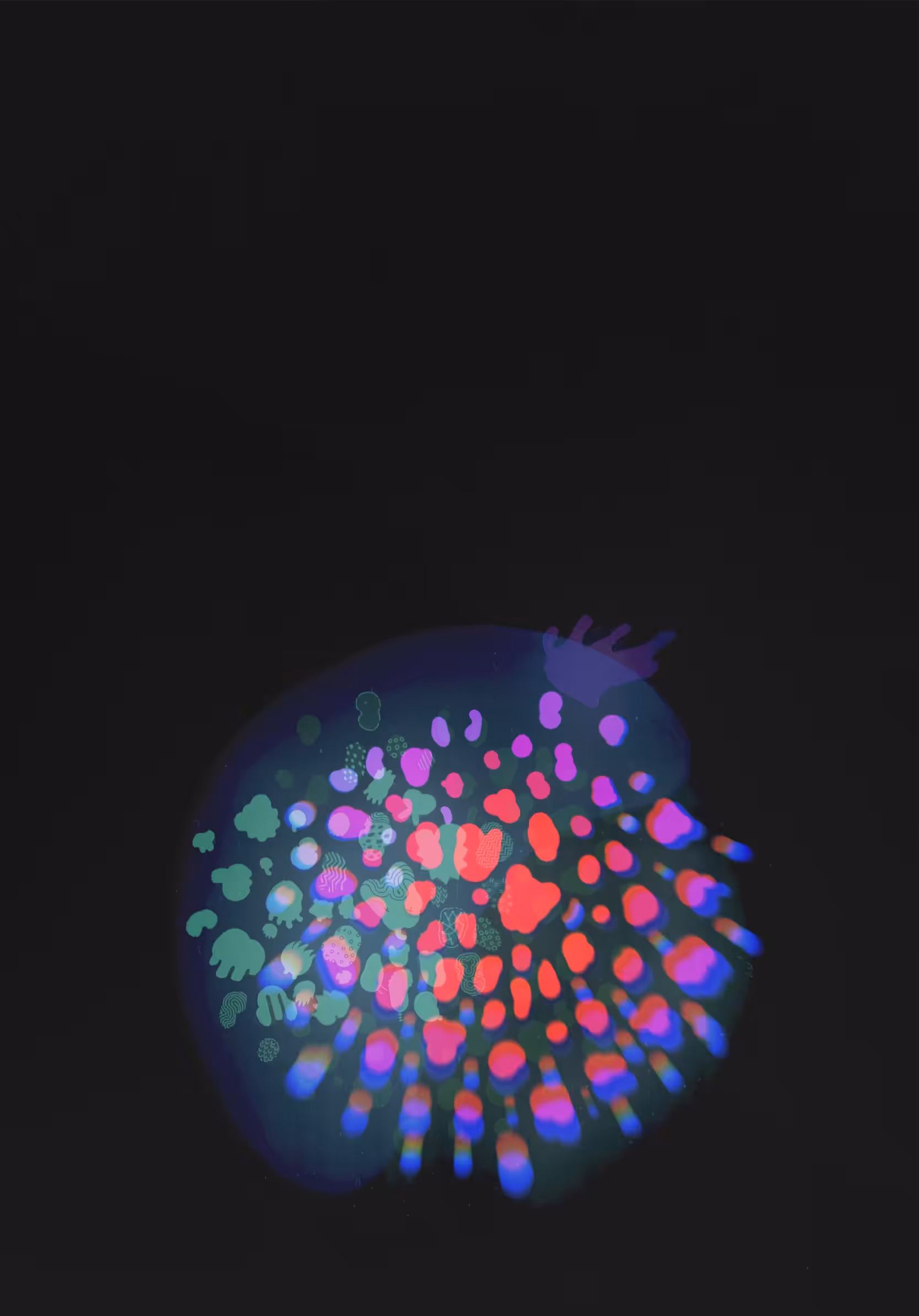 Chromajelly