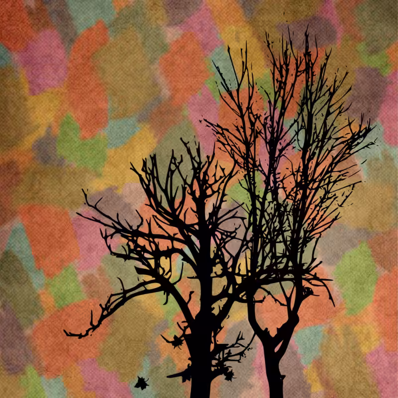 Autumn #6