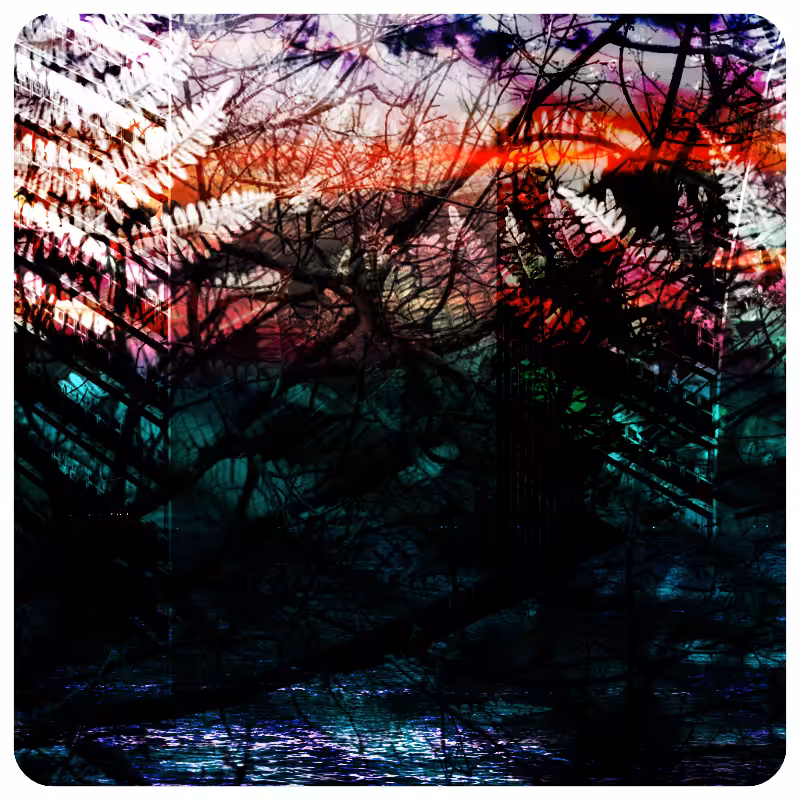 savedScapes #64