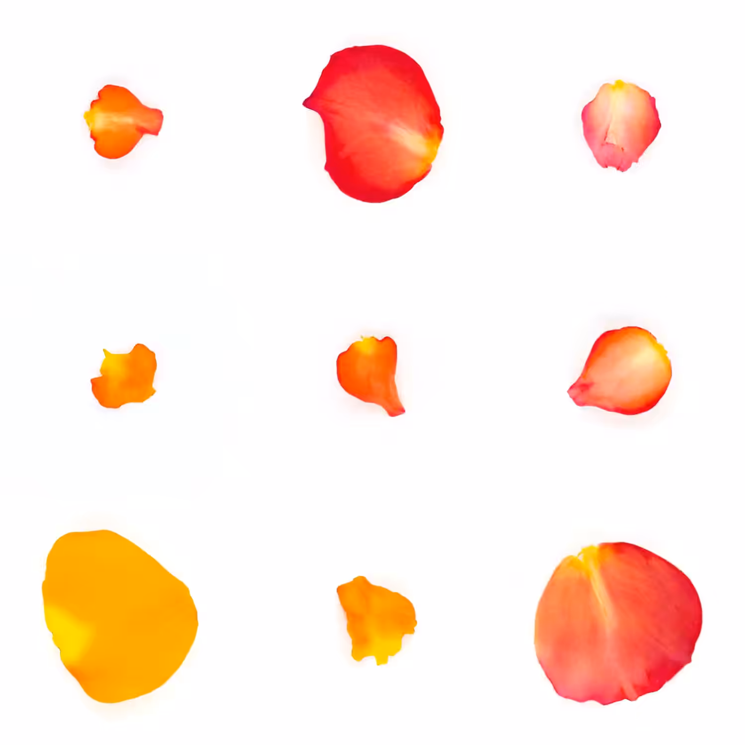 Infinite Petals 3x3#2904