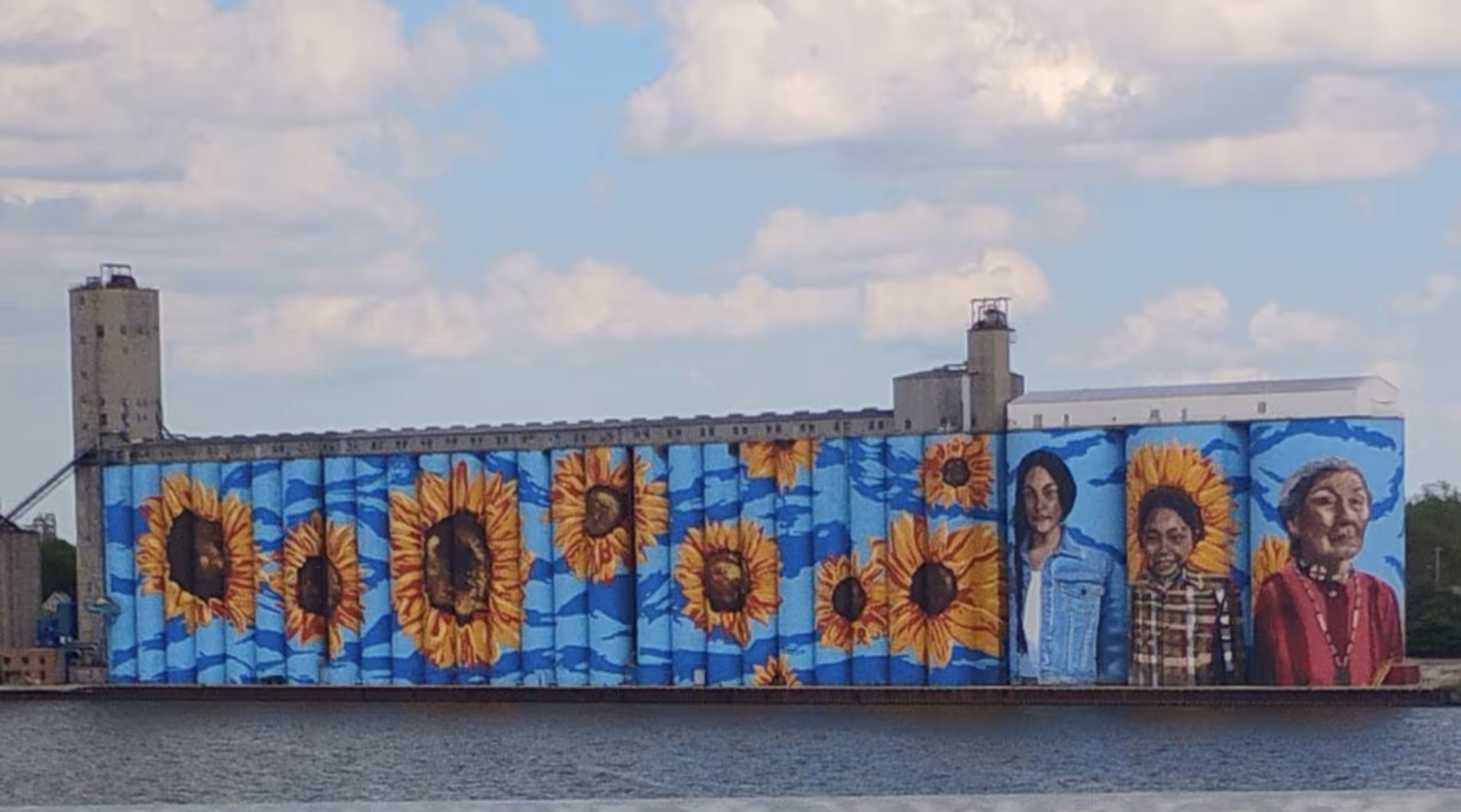 Sunflowers 
