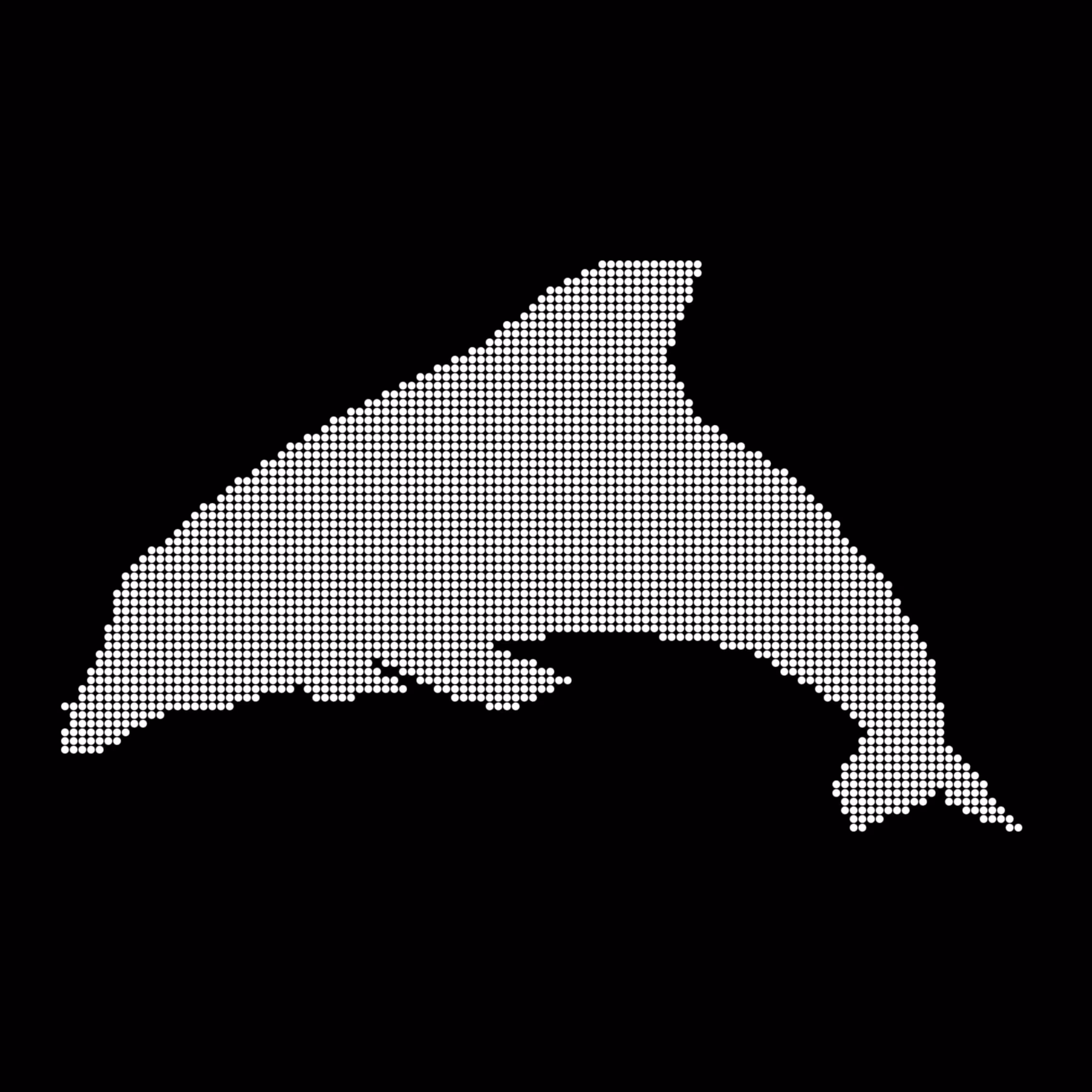 Caltech Studies (Braille): Dolphin 47