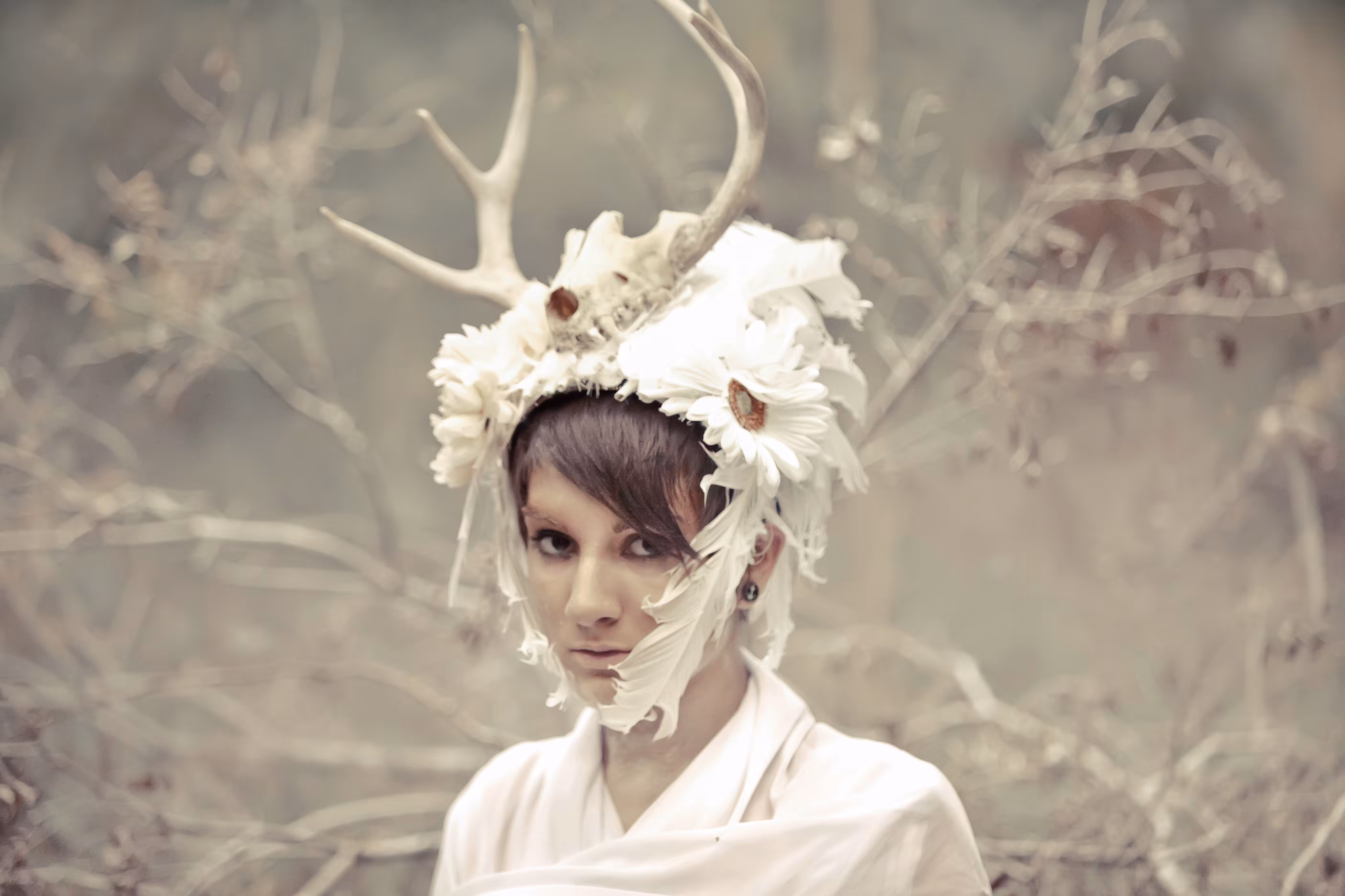 White Deer