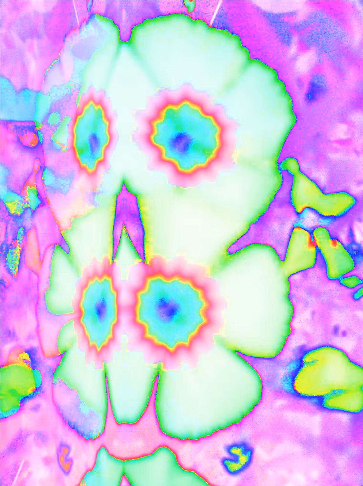 flowerpower