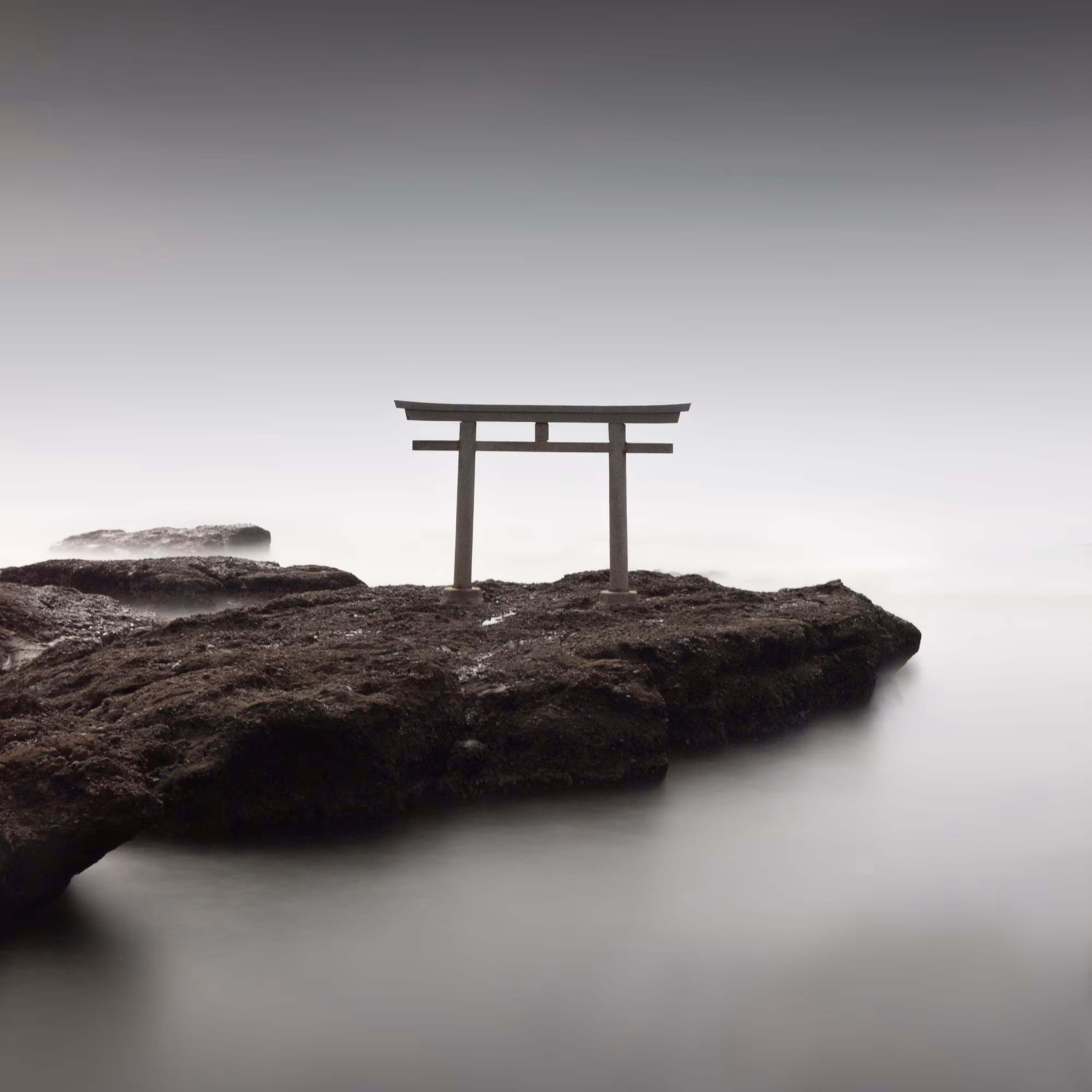 Torii V