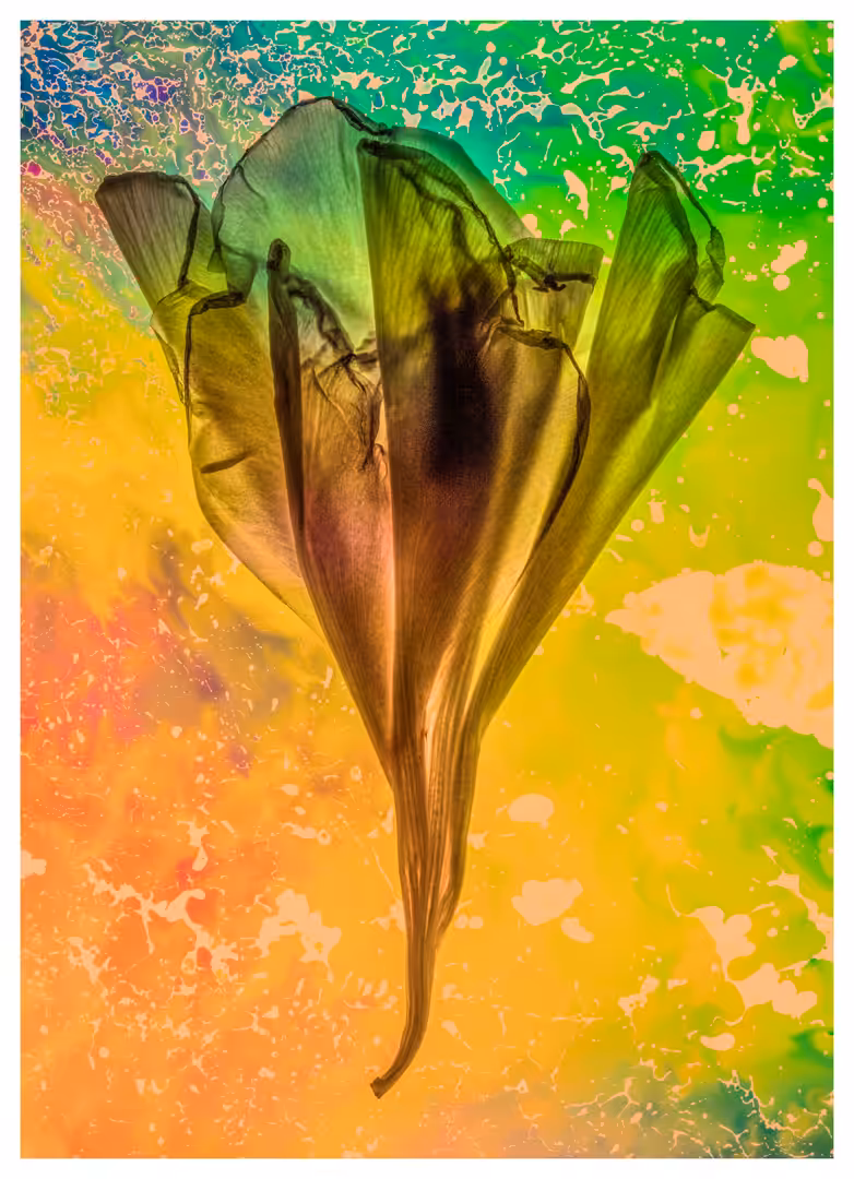 Flower #22